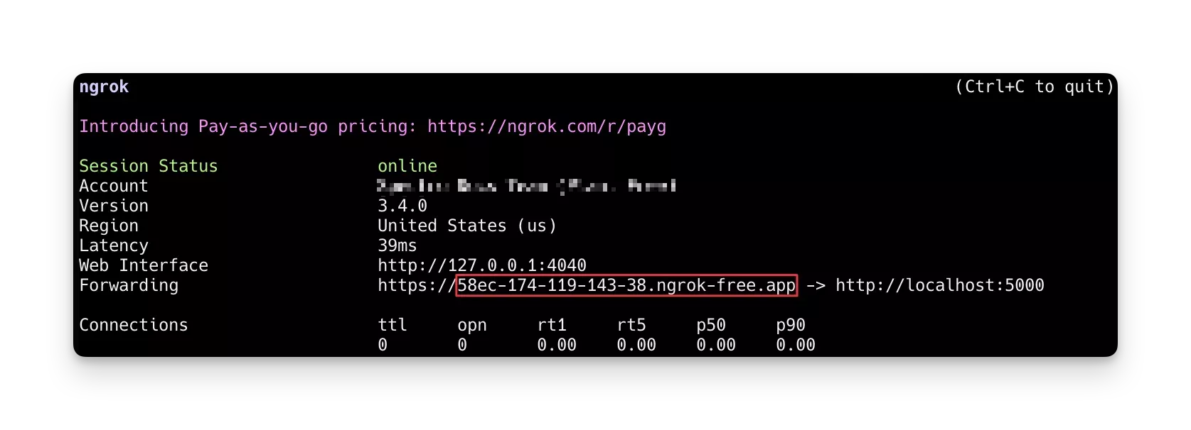 Screenshot of registry server exposed via Ngrok